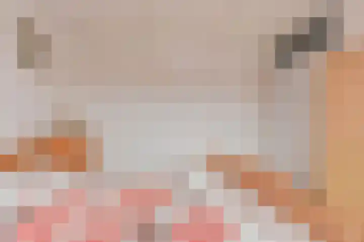 Willem Pijperstraat 1 Dedemsvaart thumbnail 39