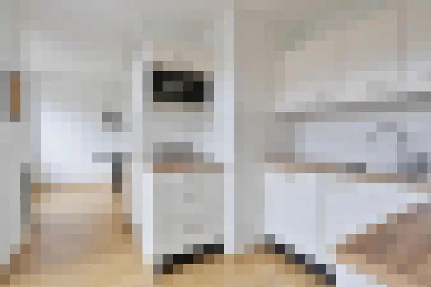 Willem Pijperstraat 11 Hengelo thumbnail 20