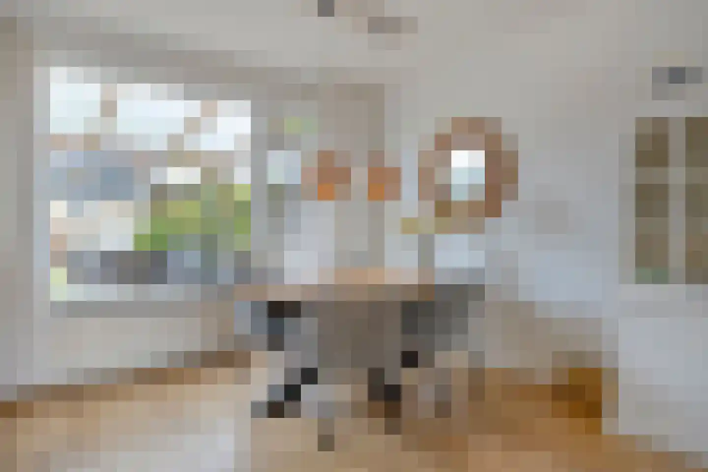 Willem Pijperstraat 12 Tilburg thumbnail 13