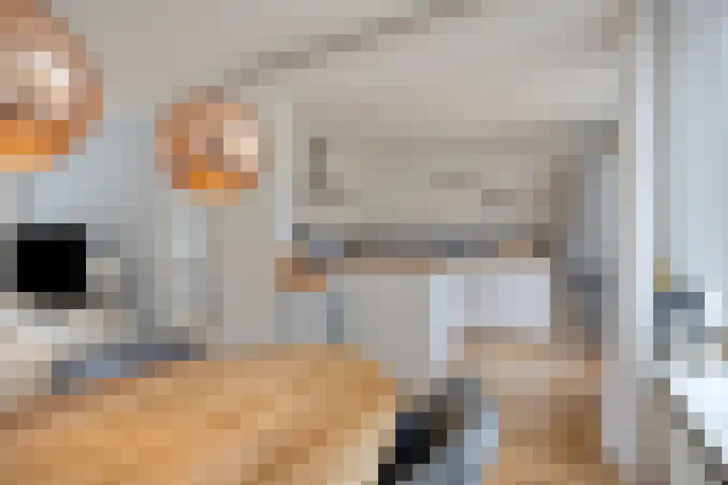 Willem Pijperstraat 12 Tilburg thumbnail 14