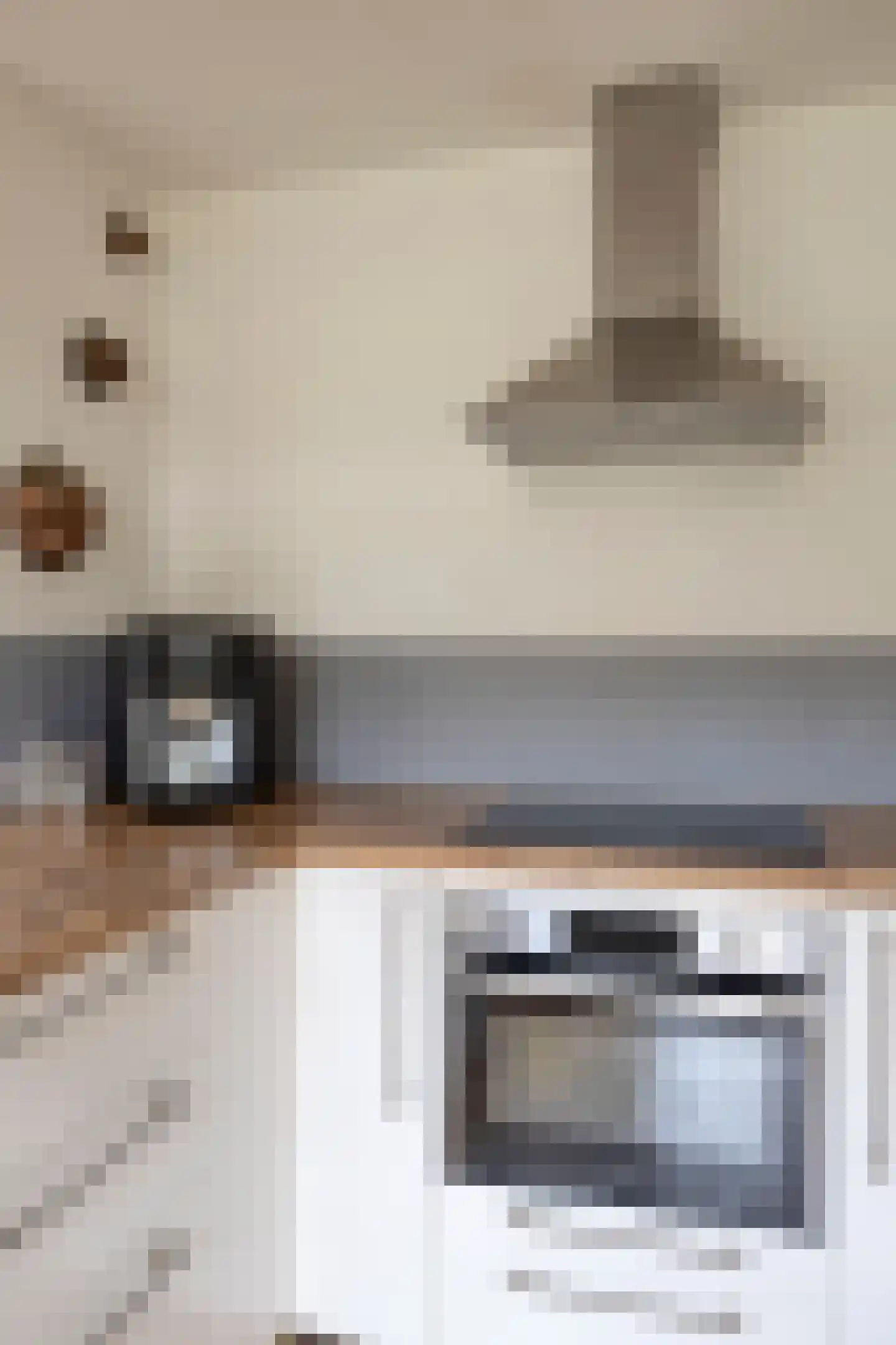 Willem Pijperstraat 12 Tilburg thumbnail 18