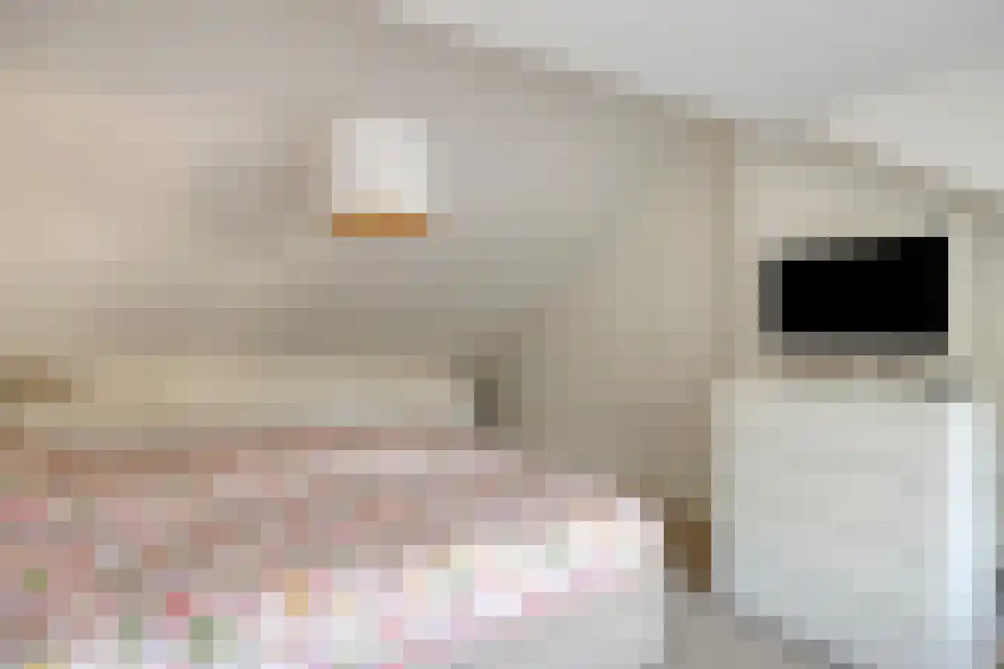 Willem Pijperstraat 12 Tilburg thumbnail 44