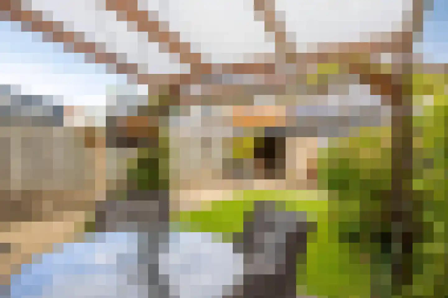Willem Pijperstraat 12 Tilburg thumbnail 47