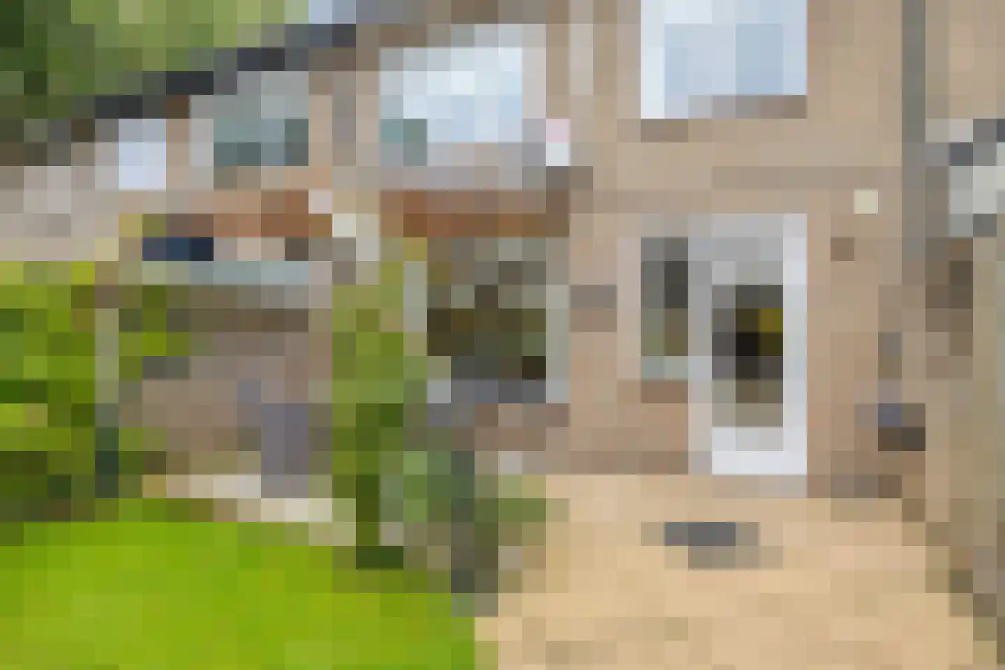Willem Pijperstraat 12 Tilburg thumbnail 49