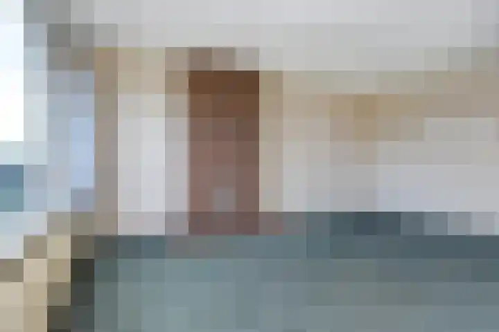Willem Pijperstraat 196 Den Haag thumbnail 14
