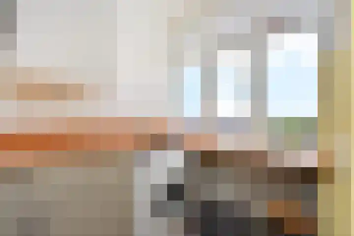 Willem Pijperstraat 20 Den Haag thumbnail 15
