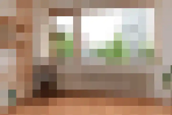 Willem Pijperstraat 20 Den Haag thumbnail 8