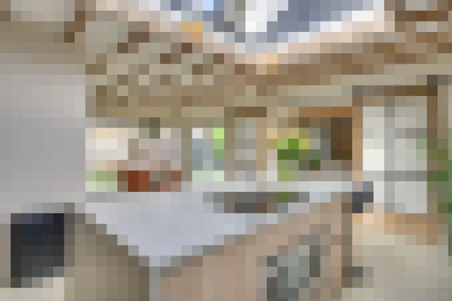 Willem Pijperstraat 20 Eindhoven thumbnail 13