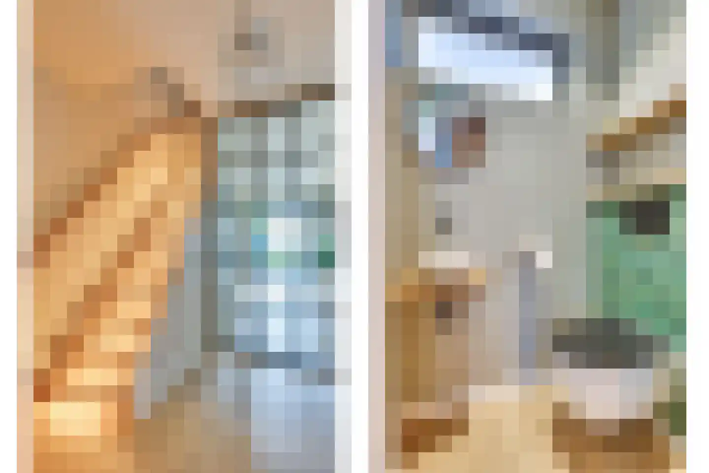 Willem Pijperstraat 20 Eindhoven thumbnail 23