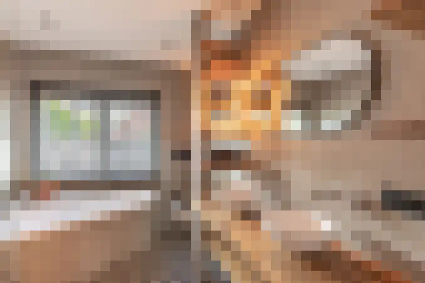 Willem Pijperstraat 20 Eindhoven thumbnail 26