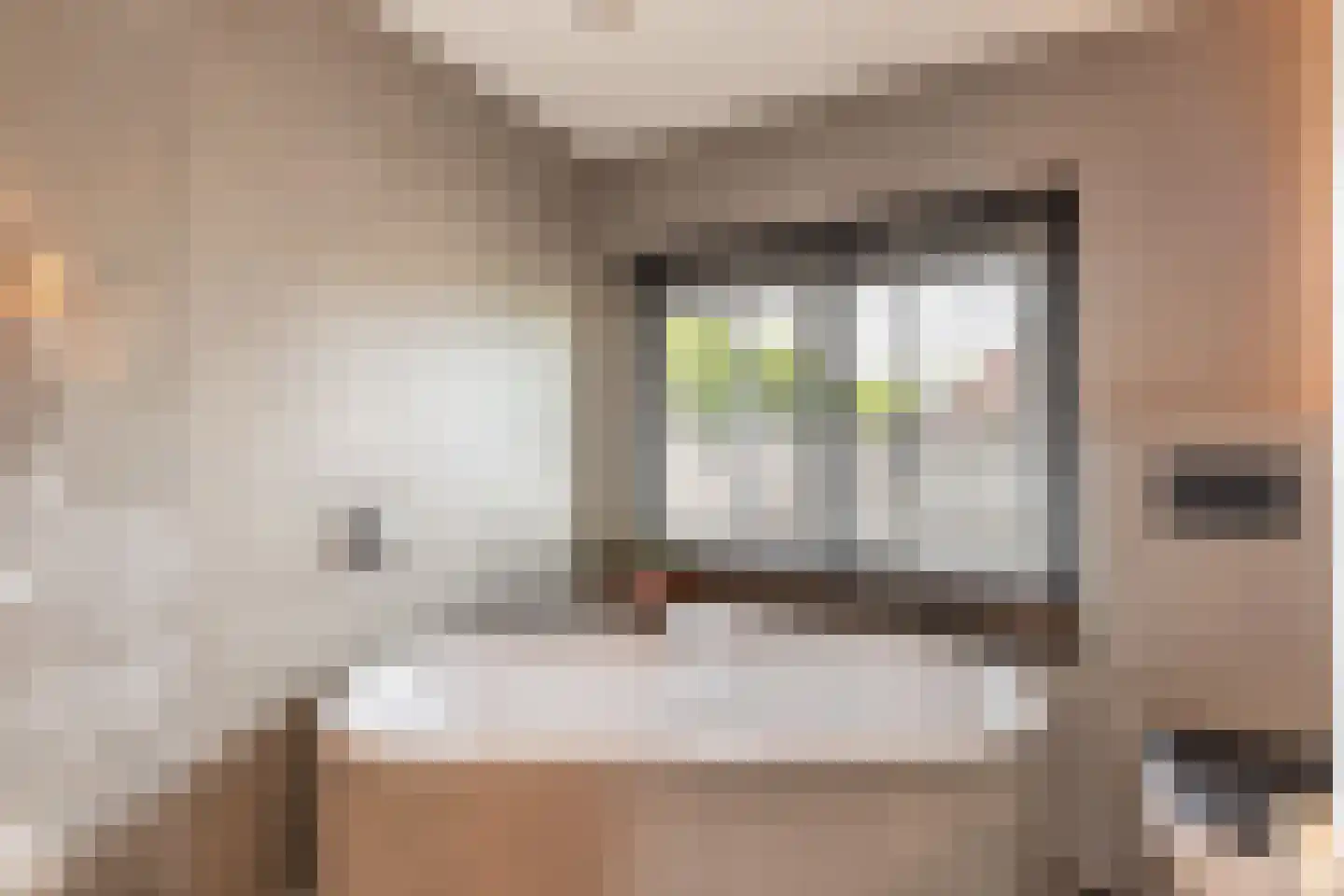 Willem Pijperstraat 20 Eindhoven thumbnail 27
