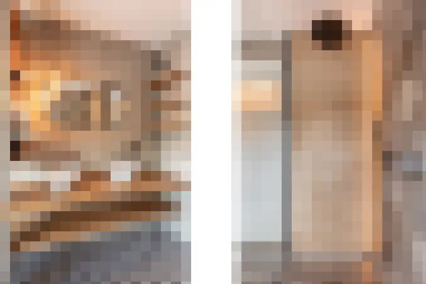 Willem Pijperstraat 20 Eindhoven thumbnail 28
