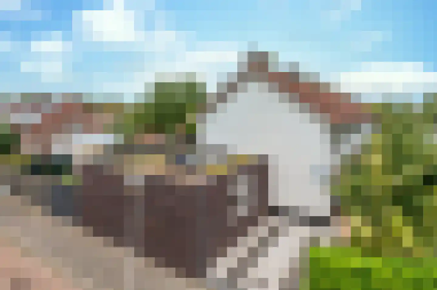 Willem Pijperstraat 20 Eindhoven thumbnail 49