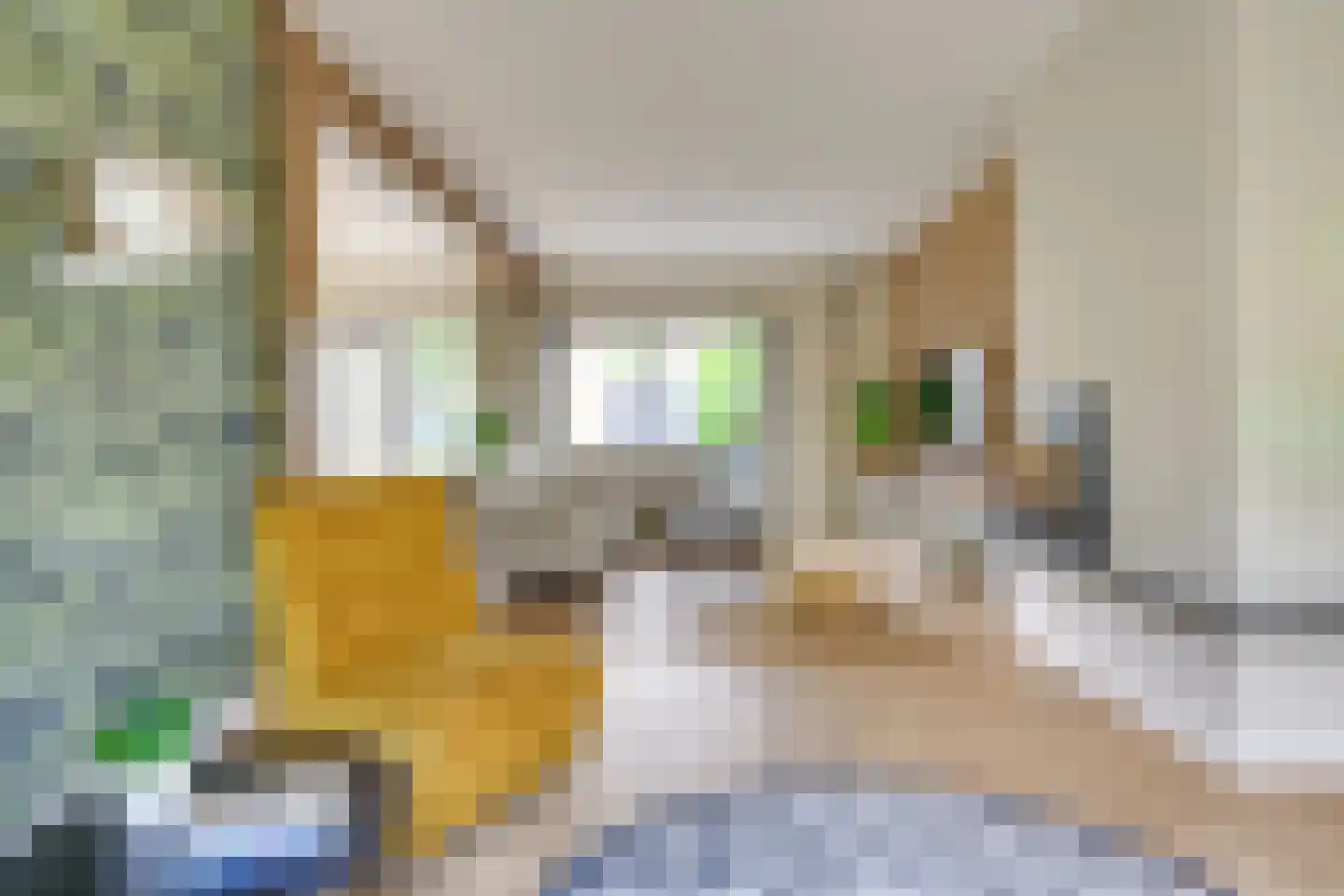 Willem Pijperstraat 20 Eindhoven thumbnail 6