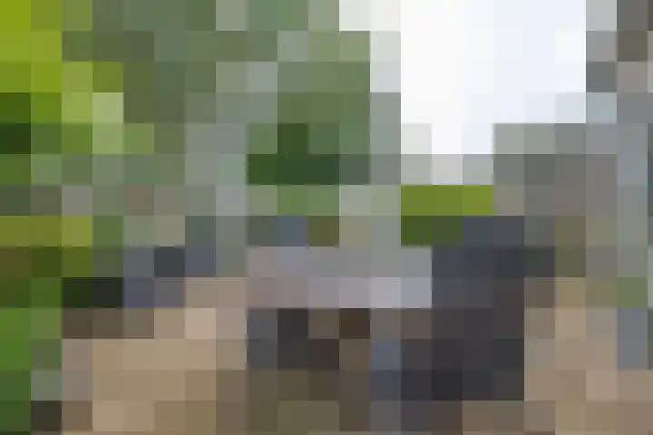 Willem Pijperstraat 24 Almere thumbnail 27