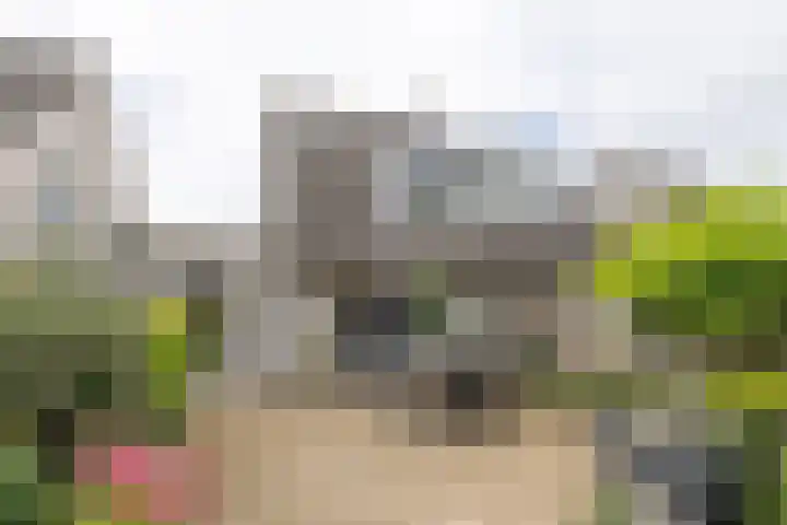Willem Pijperstraat 24 Almere thumbnail 30