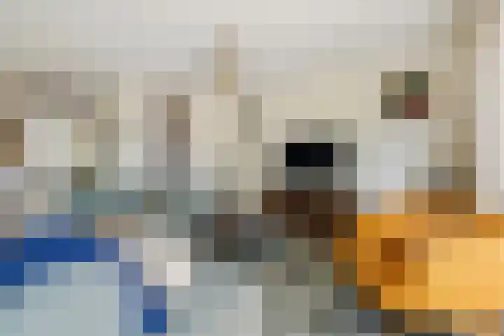 Willem Pijperstraat 24 Almere thumbnail 6