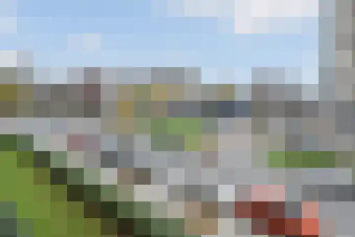 Willem Pijperstraat 24 Den Haag thumbnail 15
