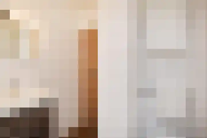 Willem Pijperstraat 24 Den Haag thumbnail 18