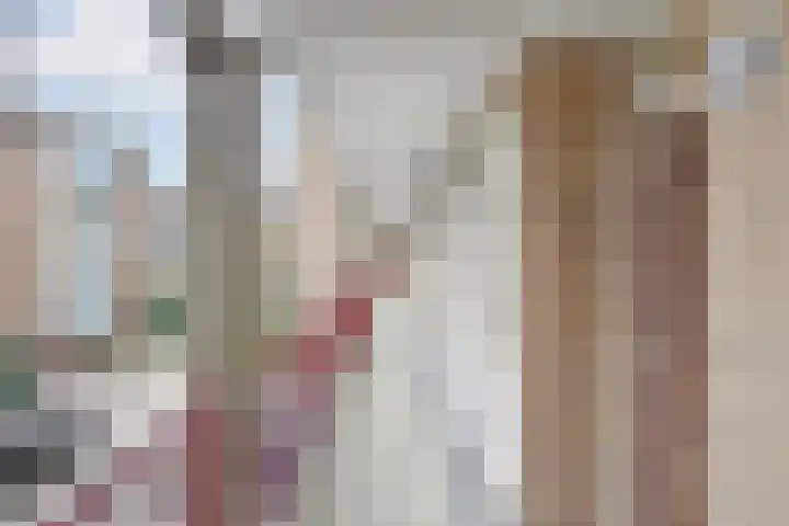 Willem Pijperstraat 24 Den Haag thumbnail 20