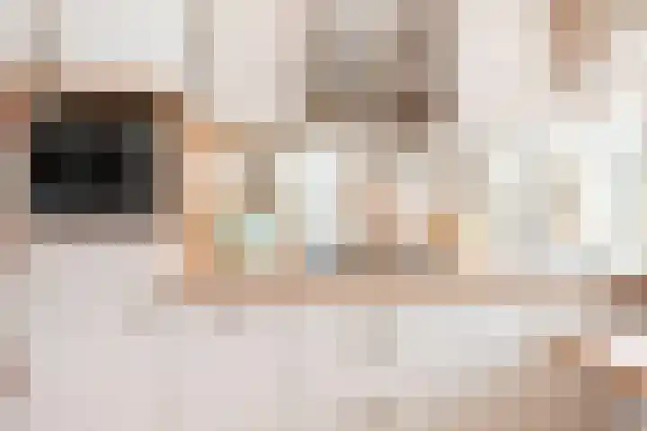 Willem Pijperstraat 24 Den Haag thumbnail 9