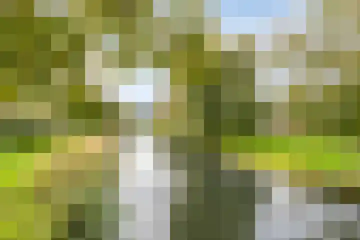 Willem Pijperstraat 30 Almere thumbnail 42