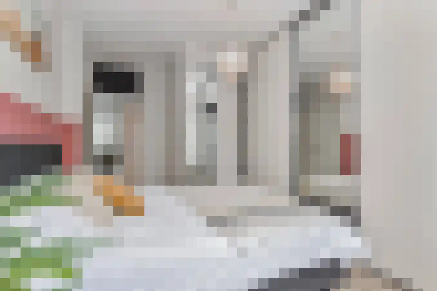 Willem Pijperstraat 31 Den Haag thumbnail 19