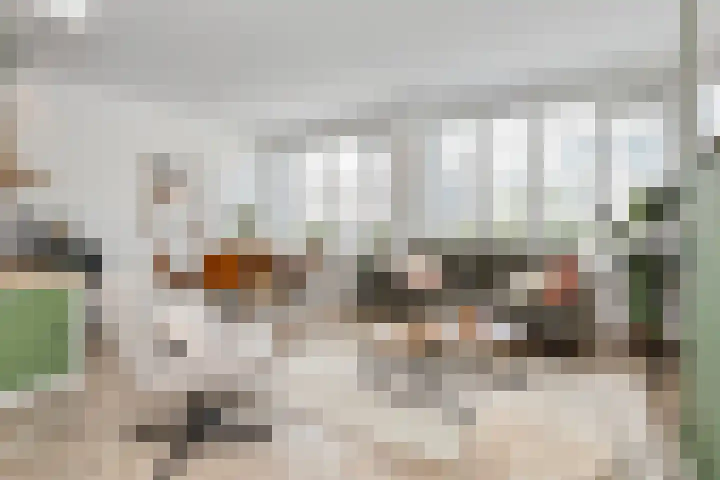 Willem Pijperstraat 31 Den Haag thumbnail 4
