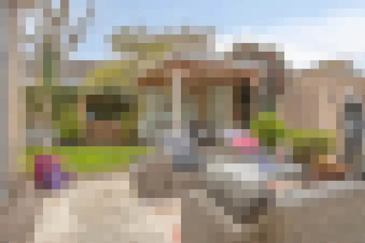 Willem Pijperstraat 33 Tilburg thumbnail 44