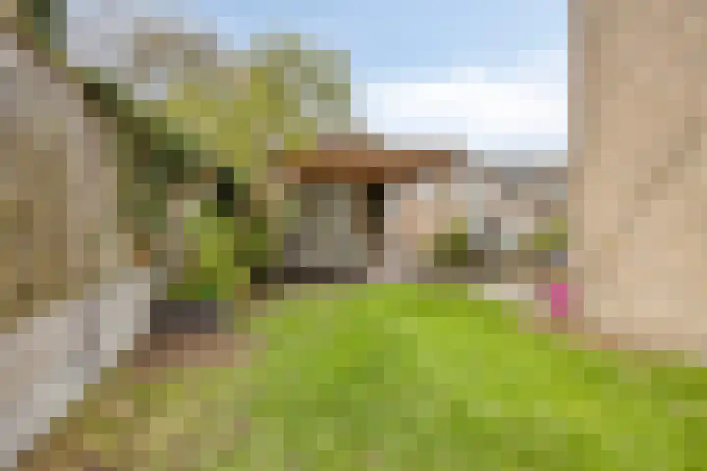 Willem Pijperstraat 33 Tilburg thumbnail 51