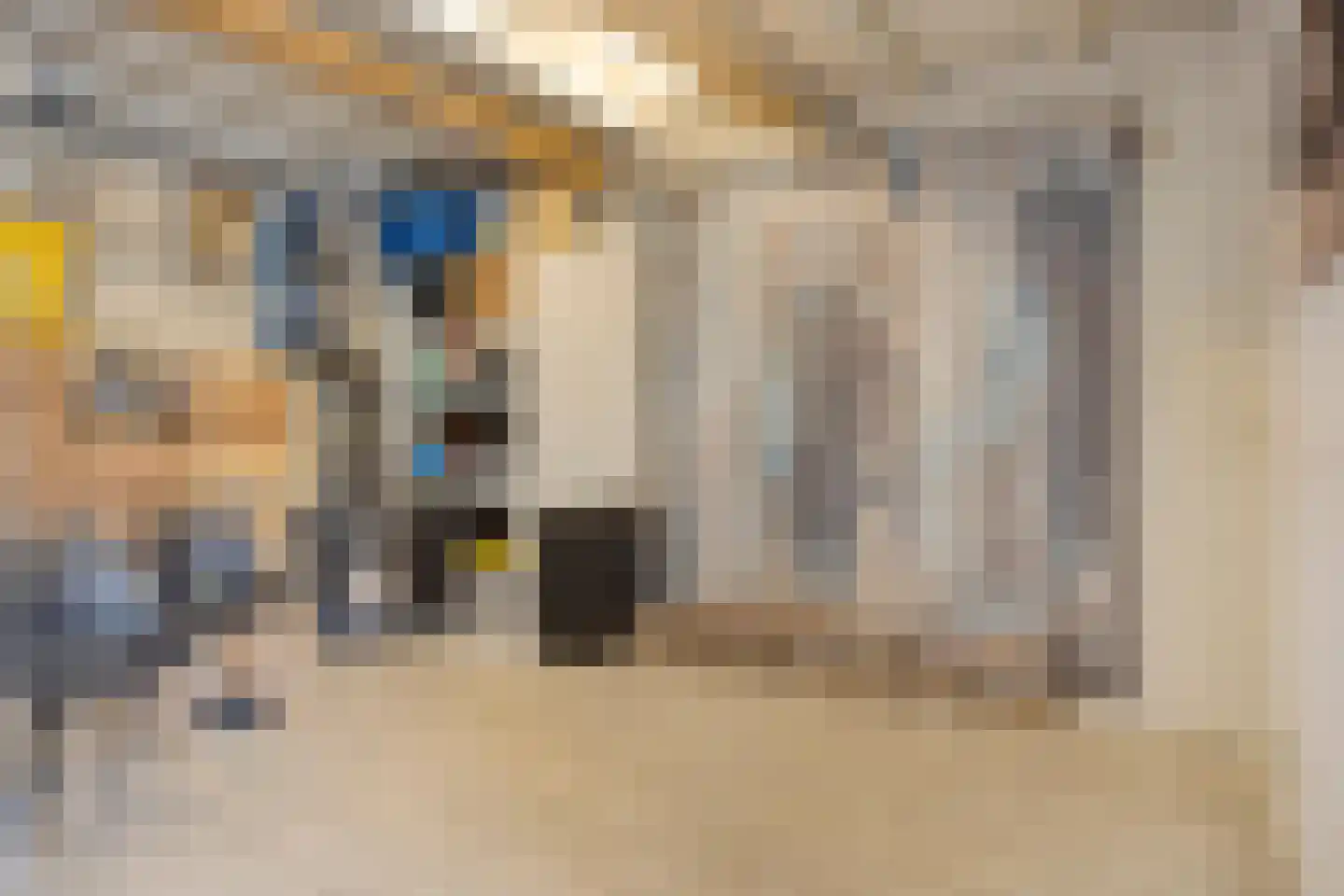 Willem Pijperstraat 33 Tilburg thumbnail 61