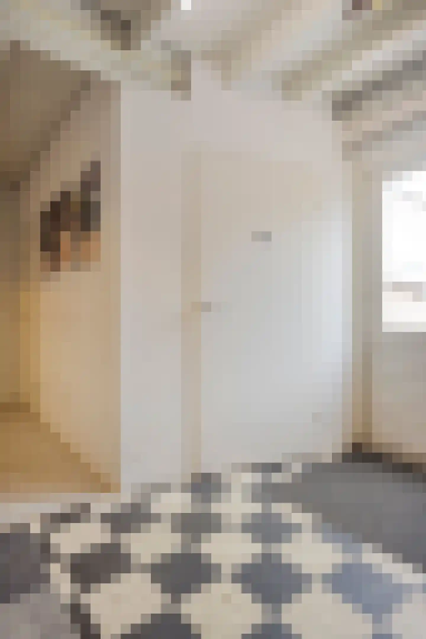 Willem Pijperstraat 33 Tilburg thumbnail 63