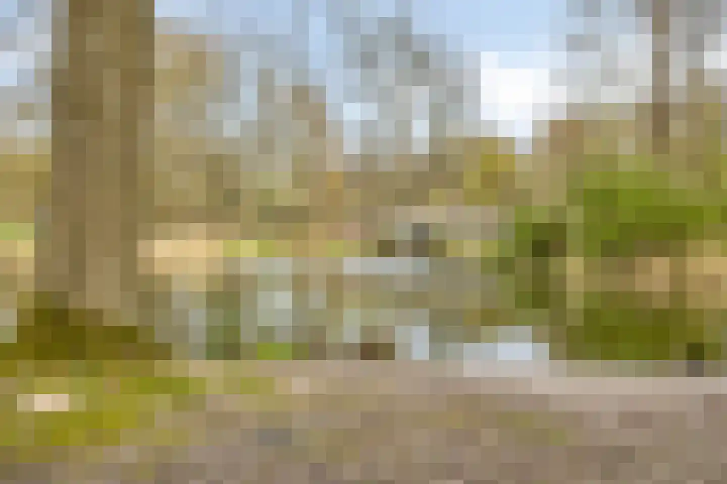 Willem Pijperstraat 33 Tilburg thumbnail 71