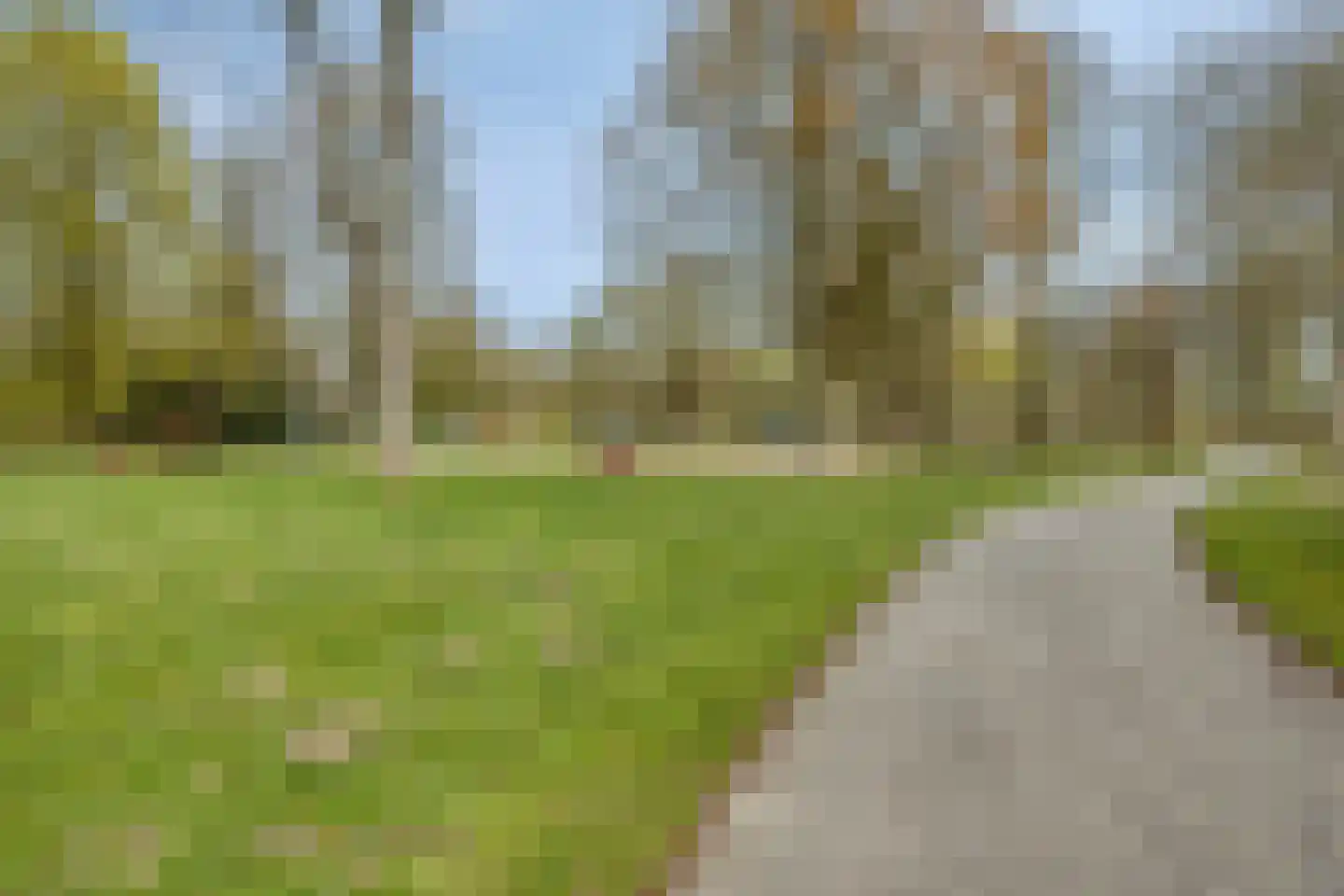 Willem Pijperstraat 33 Tilburg thumbnail 72