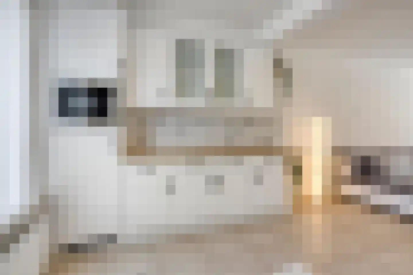 Willem Pijperstraat 34 Tilburg thumbnail 14