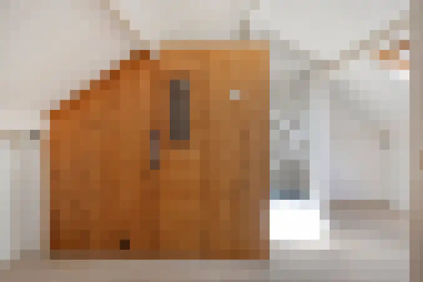 Willem Pijperstraat 34 Tilburg thumbnail 25