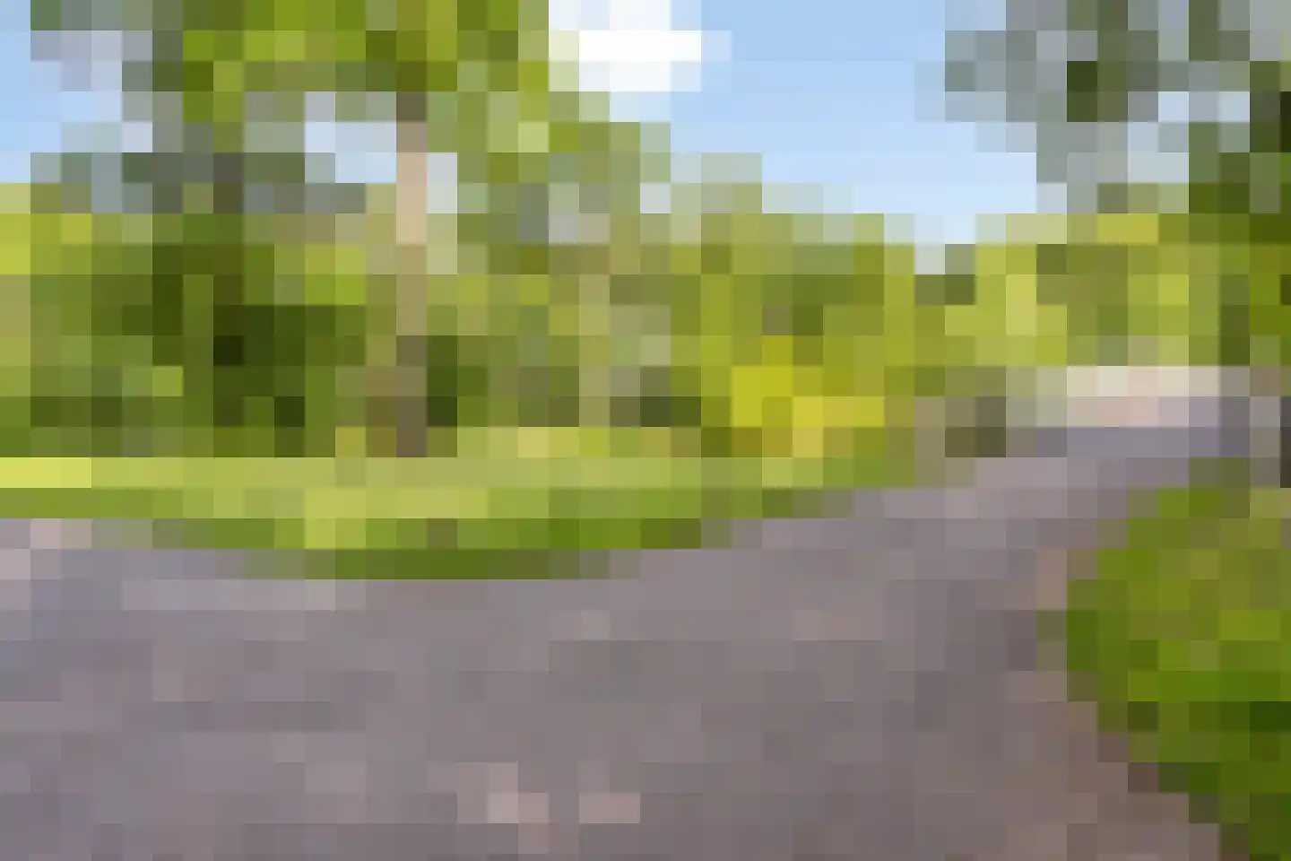Willem Pijperstraat 34 Tilburg thumbnail 33