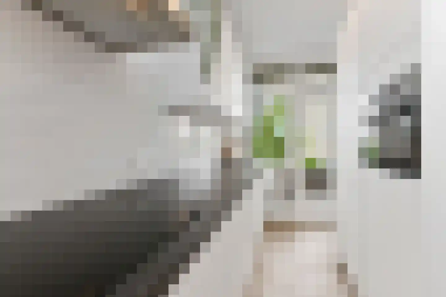 Willem Pijperstraat 42 Den Haag thumbnail 10