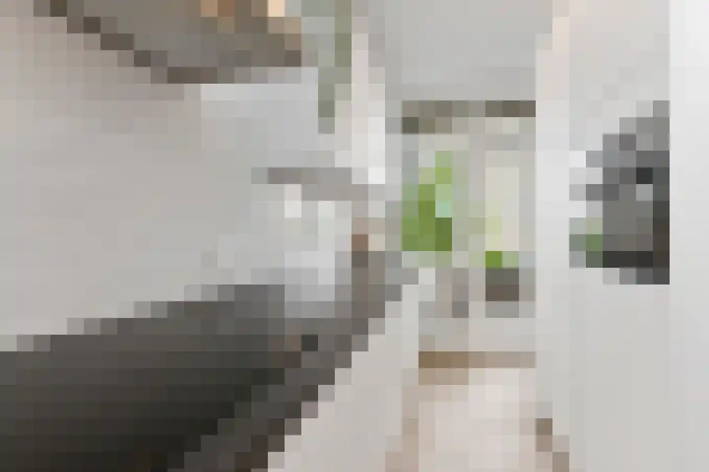 Willem Pijperstraat 42 Den Haag thumbnail 13