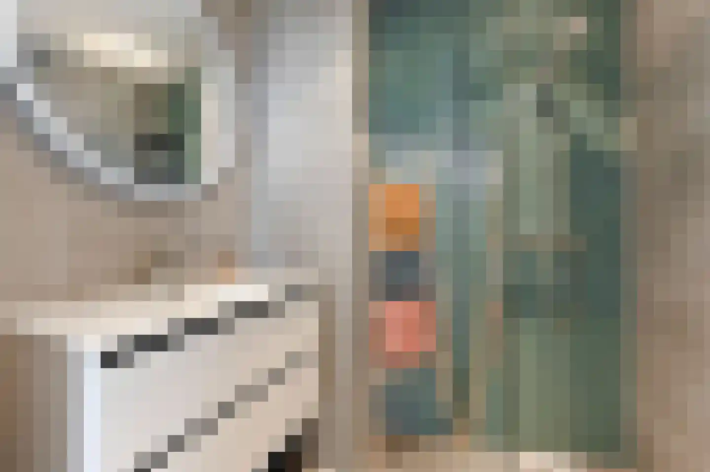 Willem Pijperstraat 42 Den Haag thumbnail 16