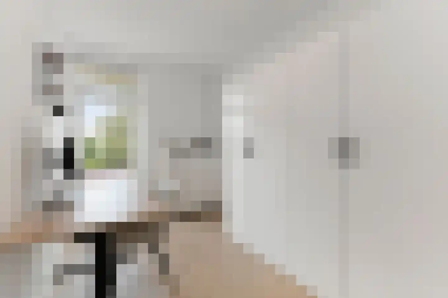 Willem Pijperstraat 42 Den Haag thumbnail 18