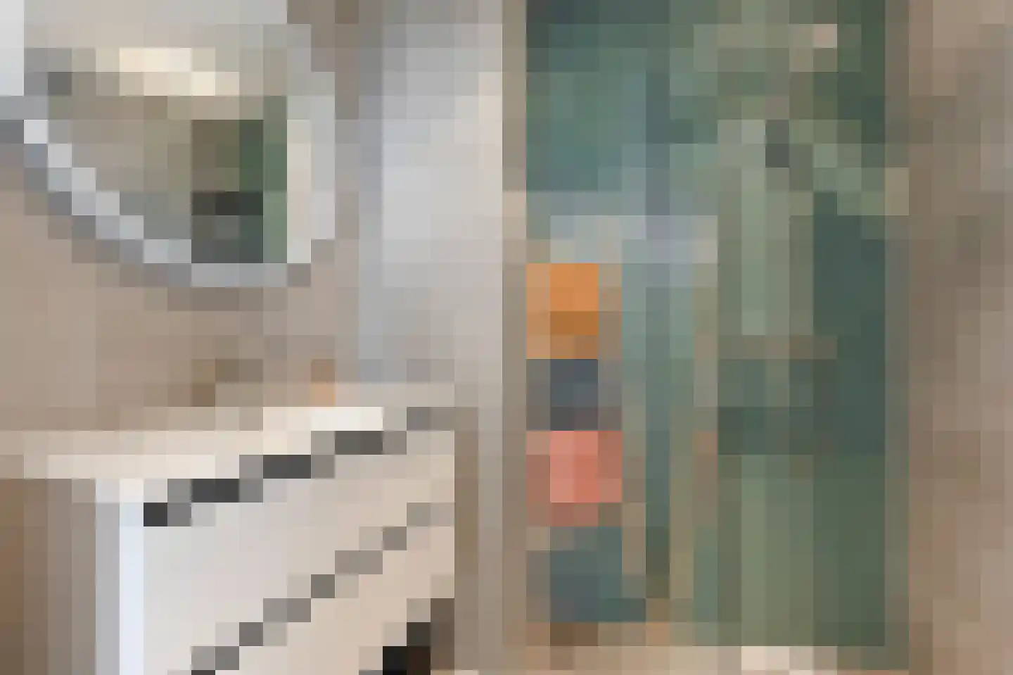 Willem Pijperstraat 42 Den Haag thumbnail 19