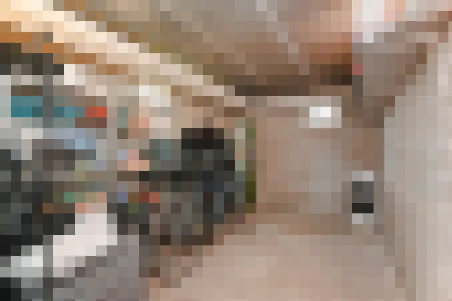 Willem Pijperstraat 42 Den Haag thumbnail 21