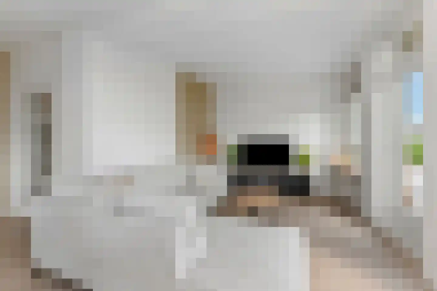 Willem Pijperstraat 42 Den Haag thumbnail 4