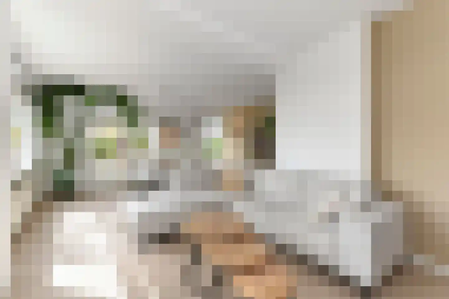 Willem Pijperstraat 42 Den Haag thumbnail 5