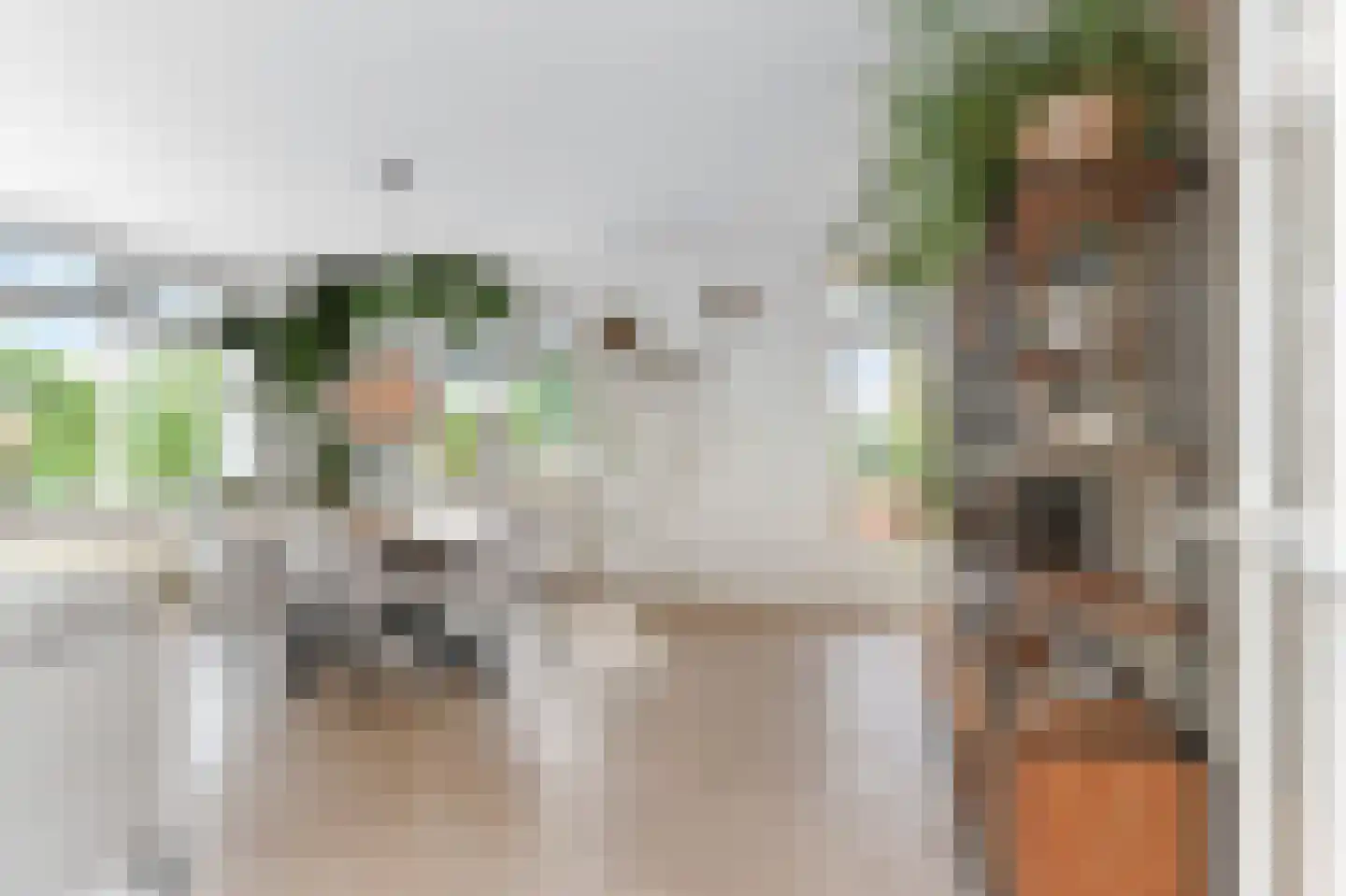 Willem Pijperstraat 42 Den Haag thumbnail 6