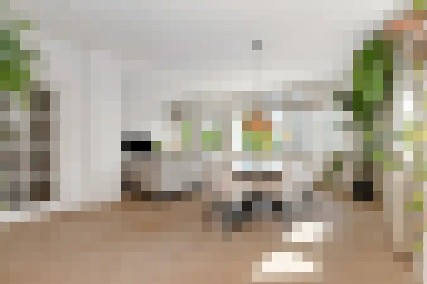 Willem Pijperstraat 42 Den Haag thumbnail 7