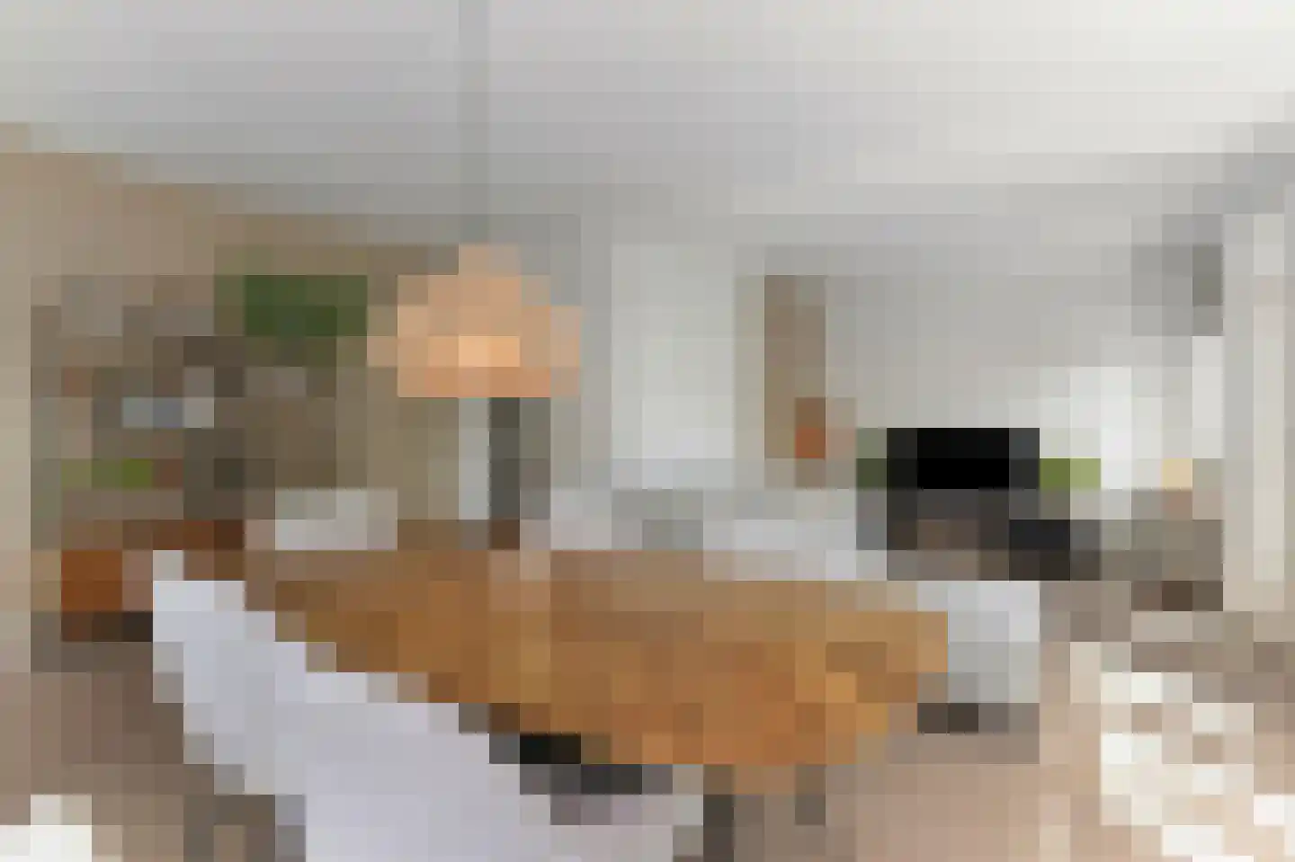 Willem Pijperstraat 42 Den Haag thumbnail 8