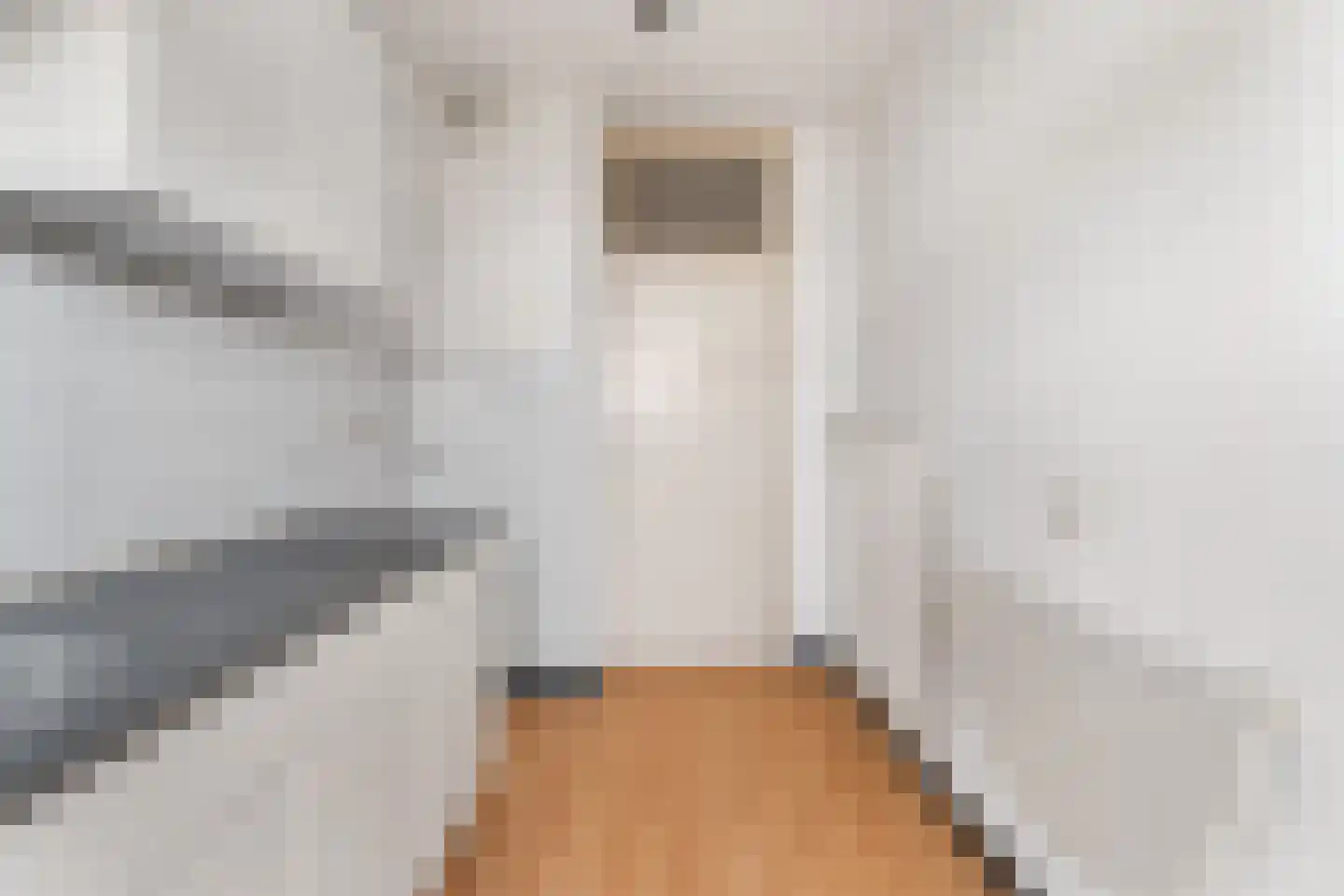 Willem Pijperstraat 43 Den Haag thumbnail 26