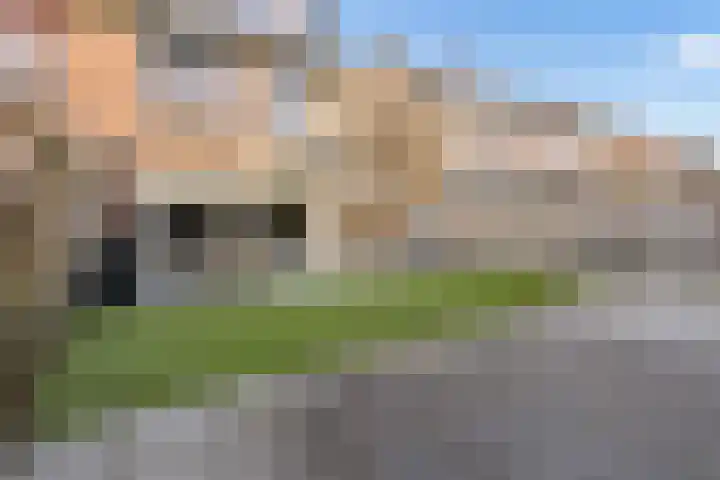 Willem Pijperstraat 58 Almere thumbnail 19